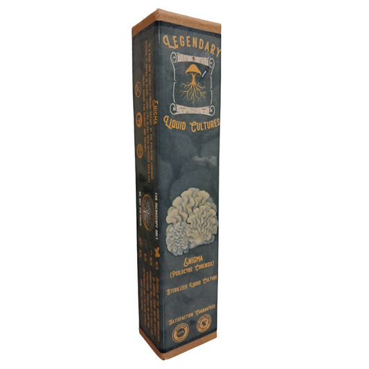 Enigma | 10ML Liquid Culture | Microscopy & Taxonomy