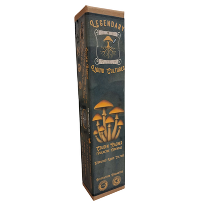 Golden Teacher | 10ML Liquid Culture | Microscopy & Taxonomy